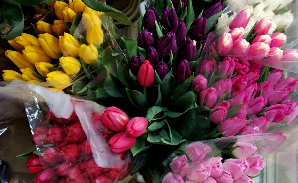 Купить цветы в Барановичах